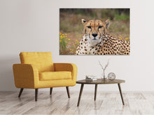 Load image into Gallery viewer, Canvas print Cheetah XL