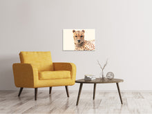 Load image into Gallery viewer, Canvas print Cheetah in the sun