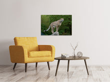 Load image into Gallery viewer, Canvas print Cheetah on the go