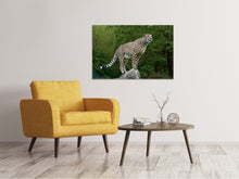 Load image into Gallery viewer, Canvas print Cheetah on the go