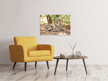 Load image into Gallery viewer, Canvas print Sun cheetah