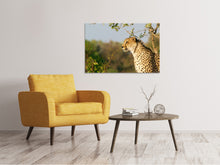 Load image into Gallery viewer, Canvas print Cheetah in nature