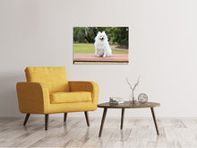 Load image into Gallery viewer, Canvas print The Spitz as a young dog