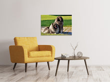 Load image into Gallery viewer, Canvas print 2 Wolfsspitz