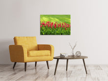 Load image into Gallery viewer, Canvas print Red tulip field in the sunlight