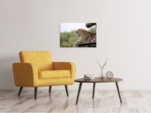 Load image into Gallery viewer, Canvas print Tired Leopard