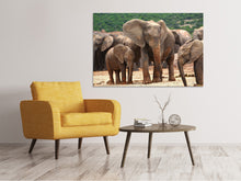 Load image into Gallery viewer, Canvas print Elephant herd in Africa