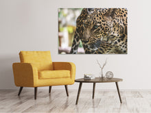 Load image into Gallery viewer, Canvas print Attention cat!