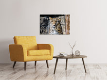 Load image into Gallery viewer, Canvas print Leopard in wait