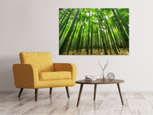 Load image into Gallery viewer, Canvas print The bamboo forest