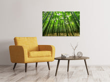 Load image into Gallery viewer, Canvas print The bamboo forest