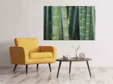 Load image into Gallery viewer, Canvas print Bamboo in XXL