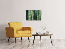 Load image into Gallery viewer, Canvas print Bamboo in XXL