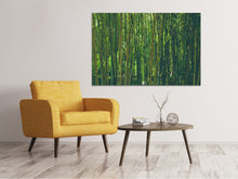 Load image into Gallery viewer, Canvas print In the middle of the bamboo