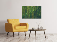 Load image into Gallery viewer, Canvas print In the middle of the bamboo