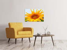 Load image into Gallery viewer, Canvas print Big sunflower