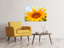 Load image into Gallery viewer, Canvas print Big sunflower