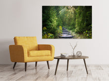Load image into Gallery viewer, Canvas print A path between firs