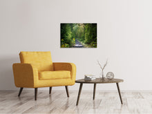 Load image into Gallery viewer, Canvas print A path between firs
