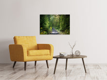 Load image into Gallery viewer, Canvas print A path between firs