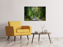 Load image into Gallery viewer, Canvas print A path between firs