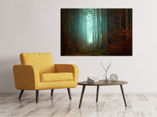 Load image into Gallery viewer, Canvas print Mood in the forest