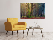 Load image into Gallery viewer, Canvas print Alone in the woods
