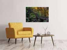 Load image into Gallery viewer, Canvas print The forest bridge