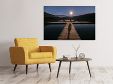 Load image into Gallery viewer, Canvas print Alone at full moon