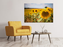 Load image into Gallery viewer, Canvas print A sunflower in the field