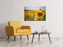 Load image into Gallery viewer, Canvas print A sunflower in the field
