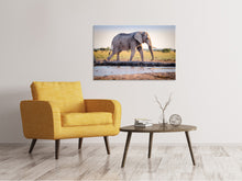 Load image into Gallery viewer, Canvas print Elephant in the nature