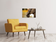 Load image into Gallery viewer, Canvas print Elephant Close up