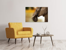 Load image into Gallery viewer, Canvas print Elephant Close up