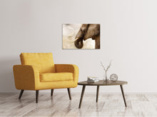 Load image into Gallery viewer, Canvas print Portrait of an elephant