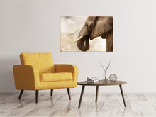Load image into Gallery viewer, Canvas print Portrait of an elephant
