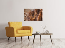 Load image into Gallery viewer, Canvas print The look of the elephant
