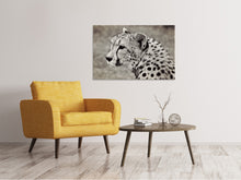 Load image into Gallery viewer, Canvas print Beautiful cheetah