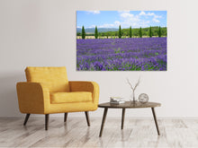 Load image into Gallery viewer, Canvas print Magnificent lavender field
