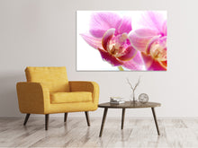 Load image into Gallery viewer, Canvas print Magnificent phalaenopsis