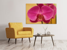 Load image into Gallery viewer, Canvas print Close up orchid in pink