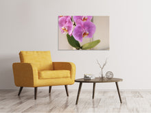 Load image into Gallery viewer, Canvas print Orchids with purple flowers in XL