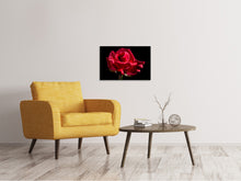 Load image into Gallery viewer, Canvas print The flower of love