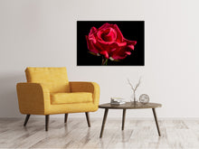 Load image into Gallery viewer, Canvas print The flower of love
