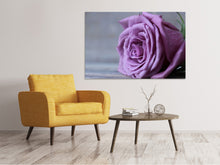 Load image into Gallery viewer, Canvas print Rose in purple XXL