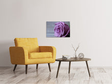 Load image into Gallery viewer, Canvas print Rose in purple XXL