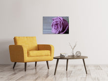 Load image into Gallery viewer, Canvas print Rose in purple XXL