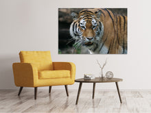 Load image into Gallery viewer, Canvas print XL Tiger