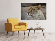 Load image into Gallery viewer, Canvas print Head of a lioness