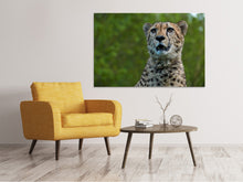 Load image into Gallery viewer, Canvas print Watchful cheetah